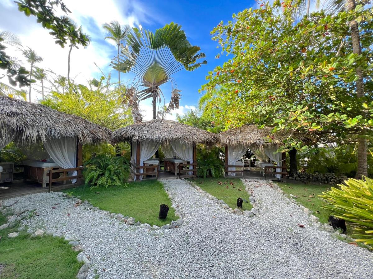 Vacation Suites With Rooftop Pool, Beach Club, Spa, Restaurants - Ducassi Collection - Playa Los Corales Punta Cana Exteriör bild